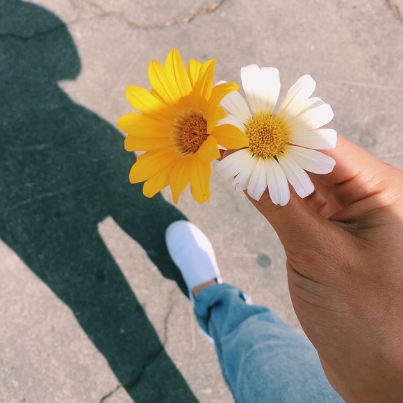 Meet your Posher, Brianna - Picture 1 of 1